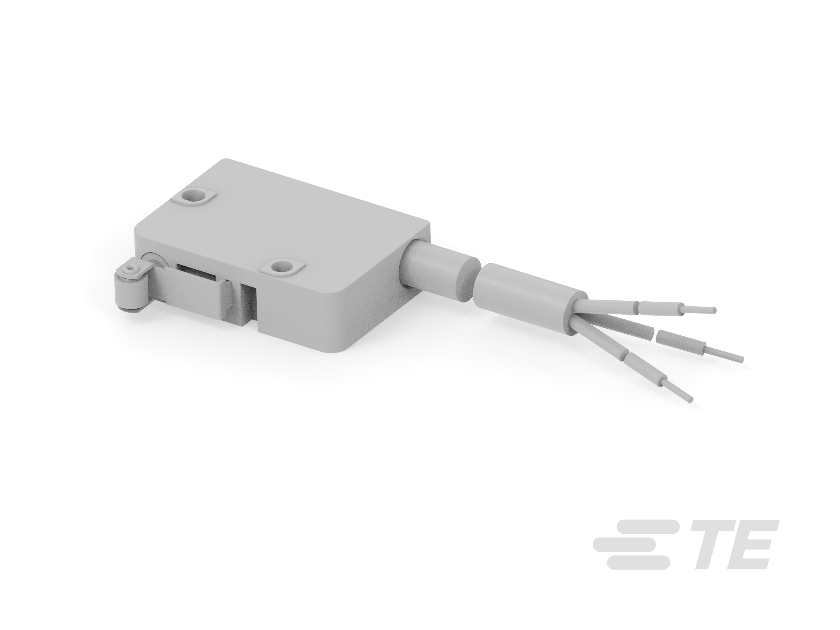 Micro Switch MZW1 191 050-K1152818