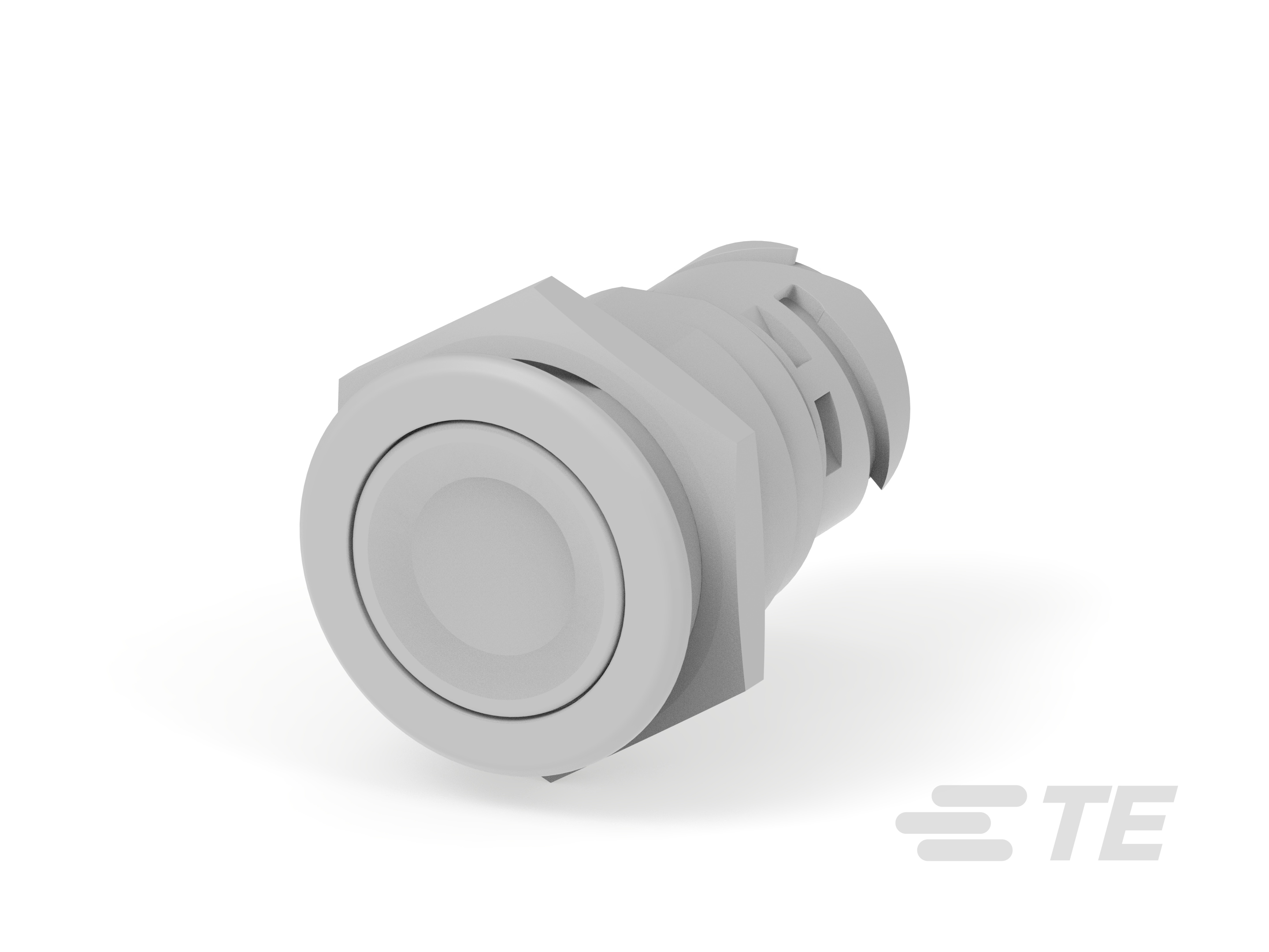 Push button switch TS-221-GN11-K1154248