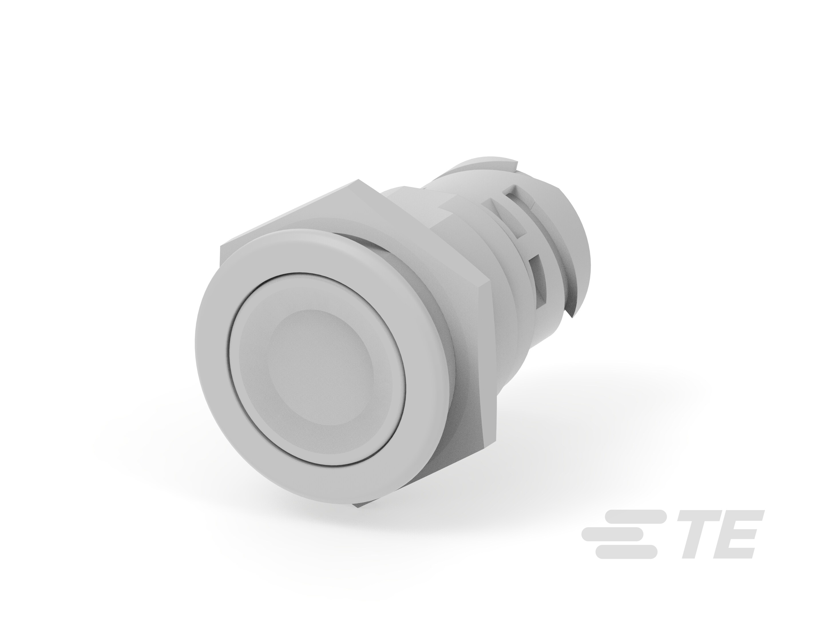 Push button switch TS-211-RT12-K1157260