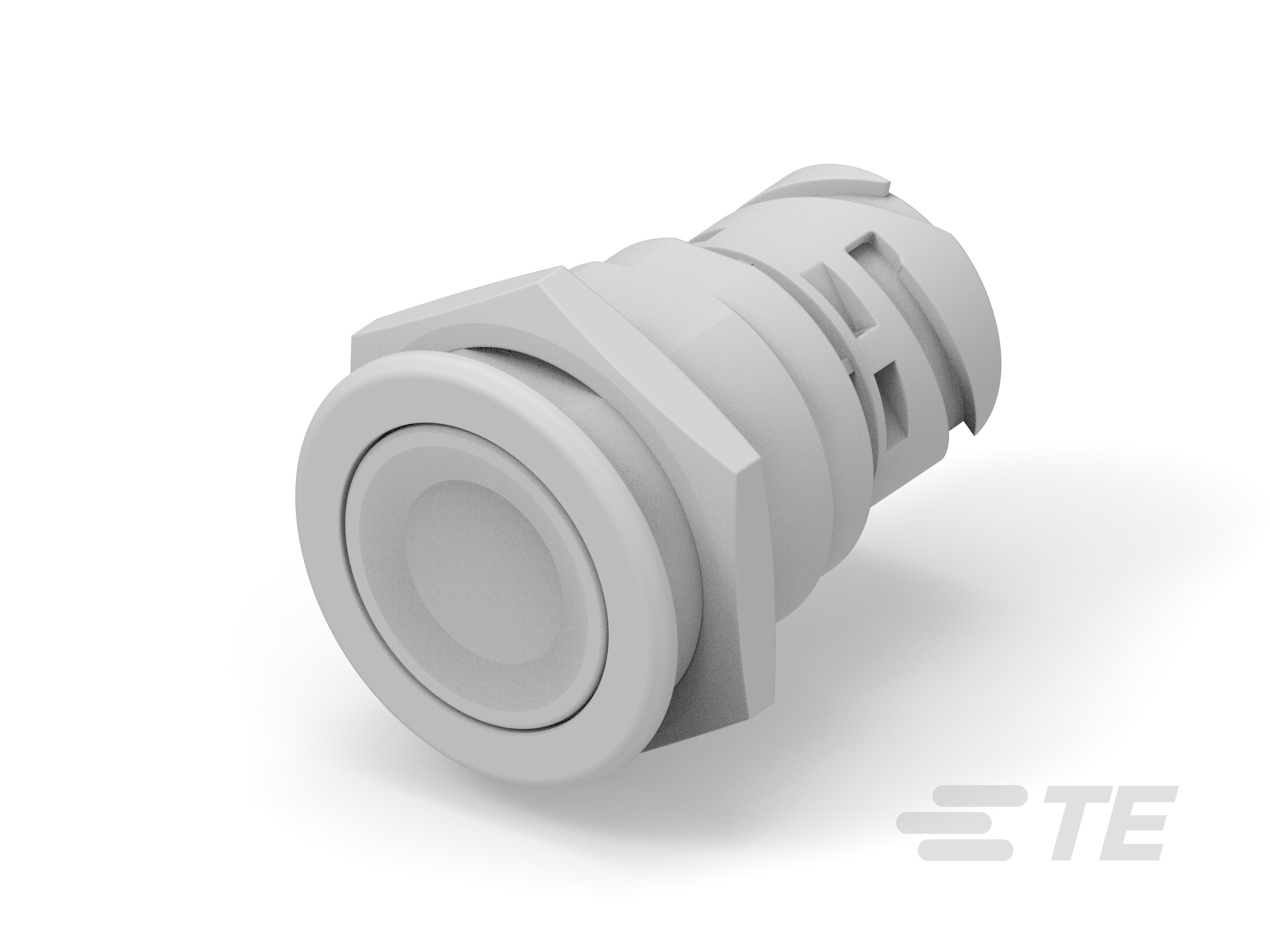Push button switch TS-211-BL11-K1158984