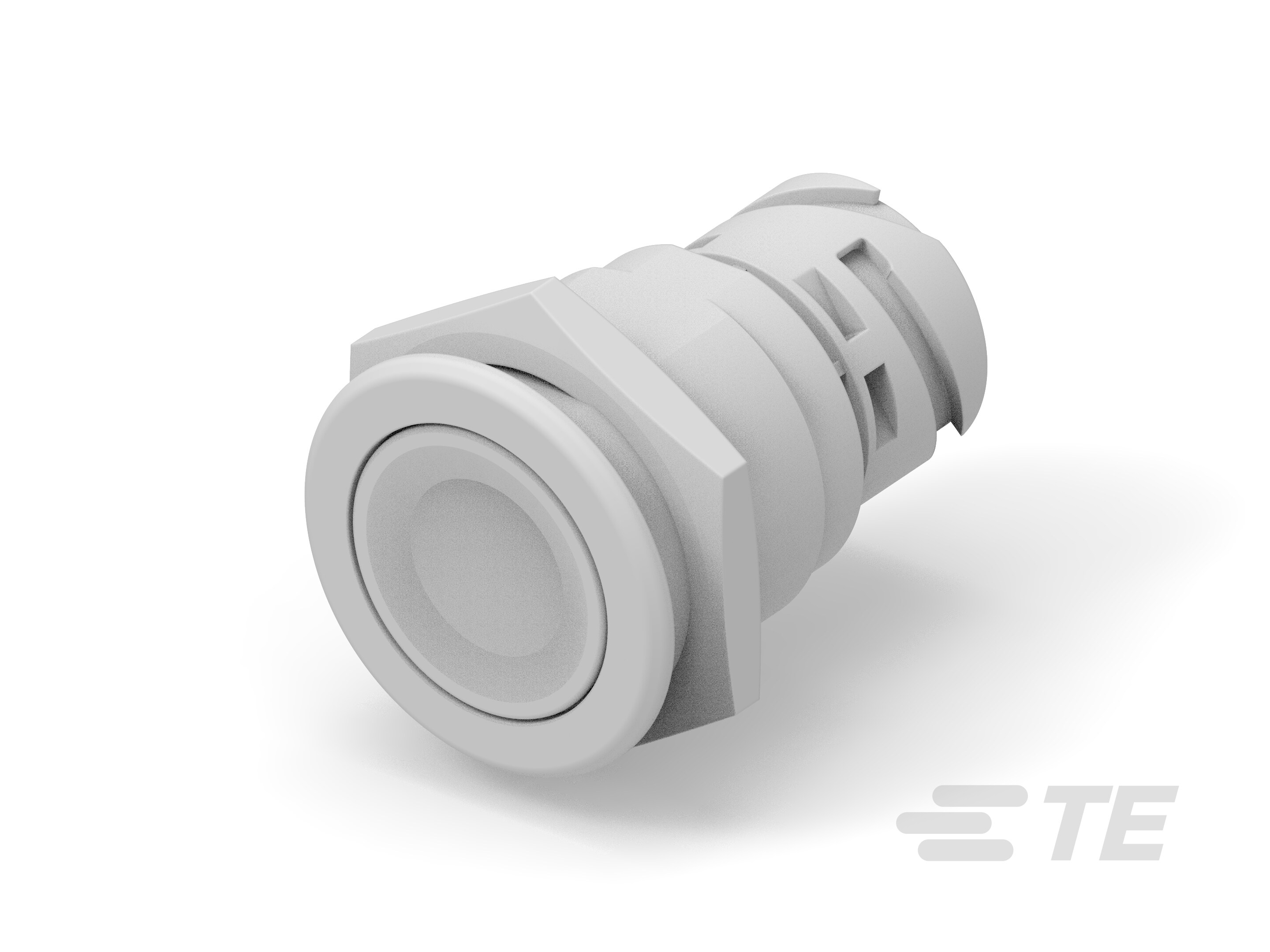 Push button switch TS-211-GE11-K1160479