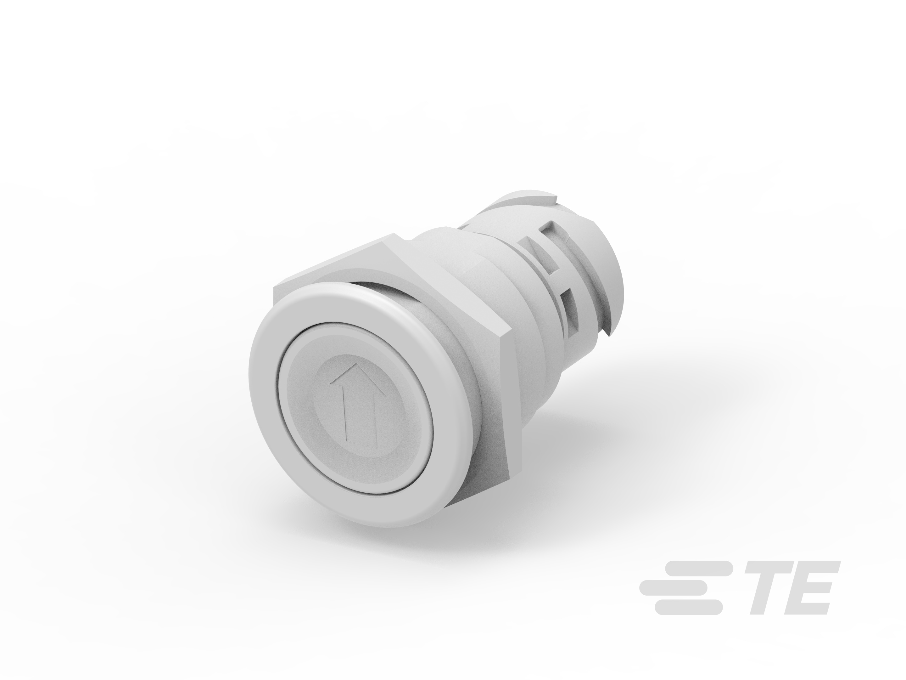 Push button switch TS-211-RT132-K1162993