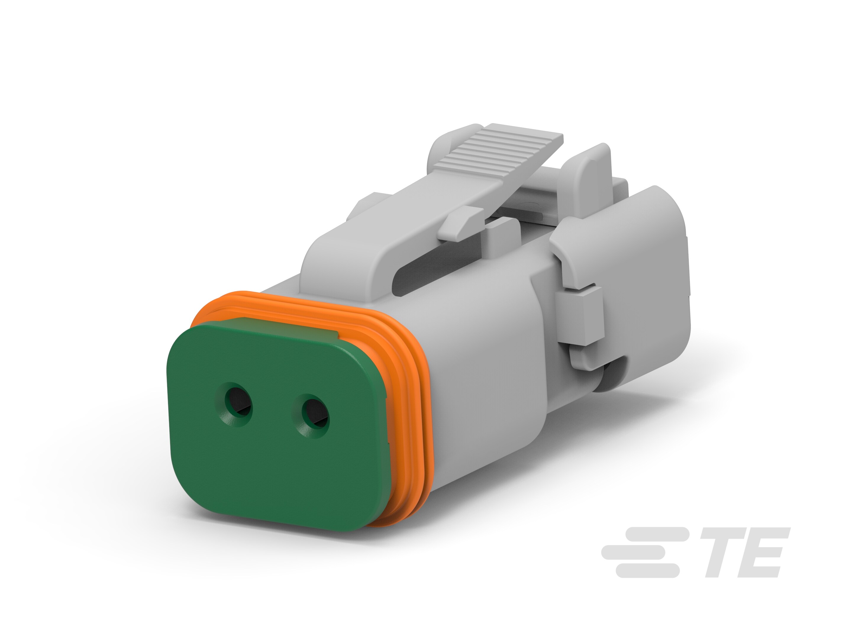 DT06-2S-TB31, PLG, 2P, GRY, BLKD,SNAPCAP-1-2303815-5