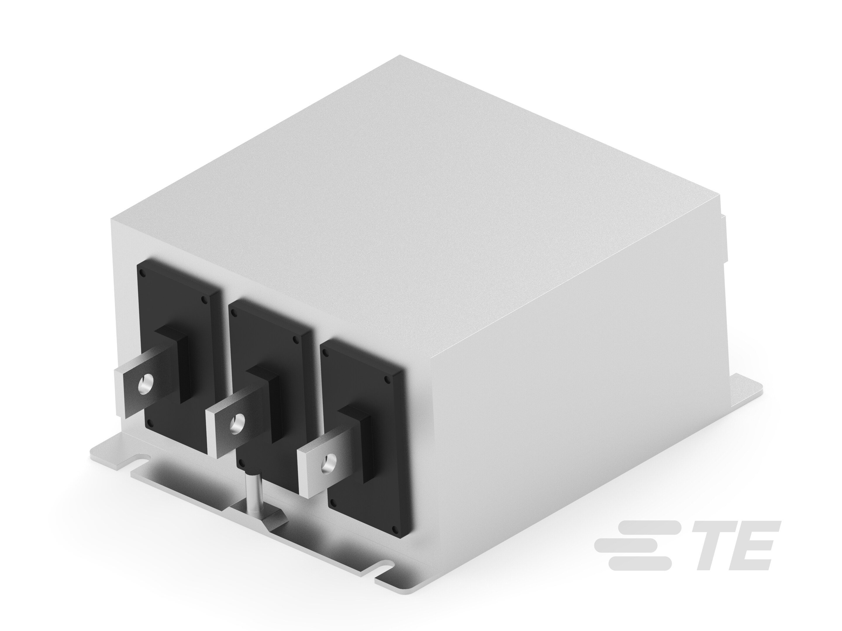 300 AHV S FP-1-2405081-8