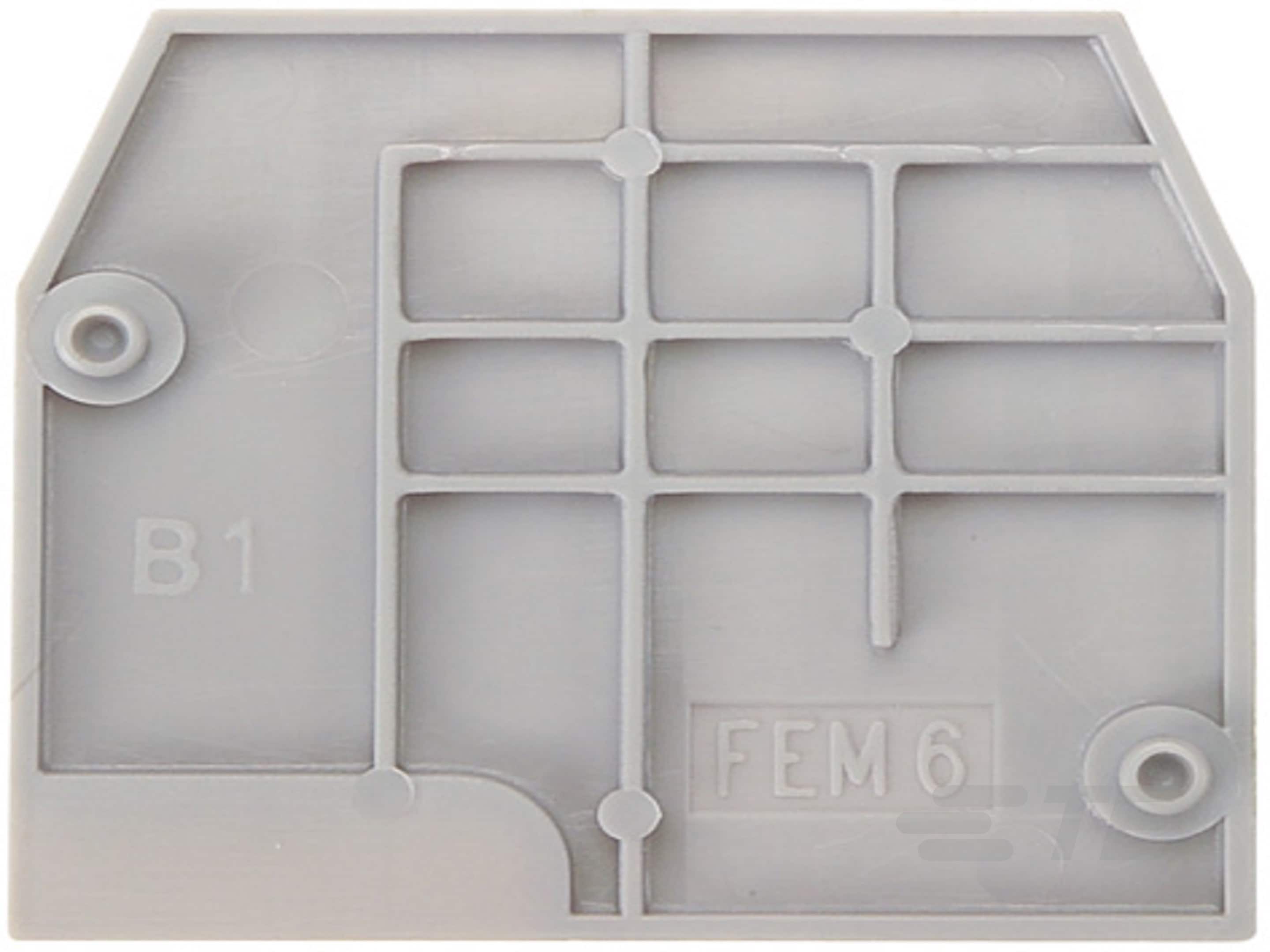 FEMS6D-1SNA116591R0500