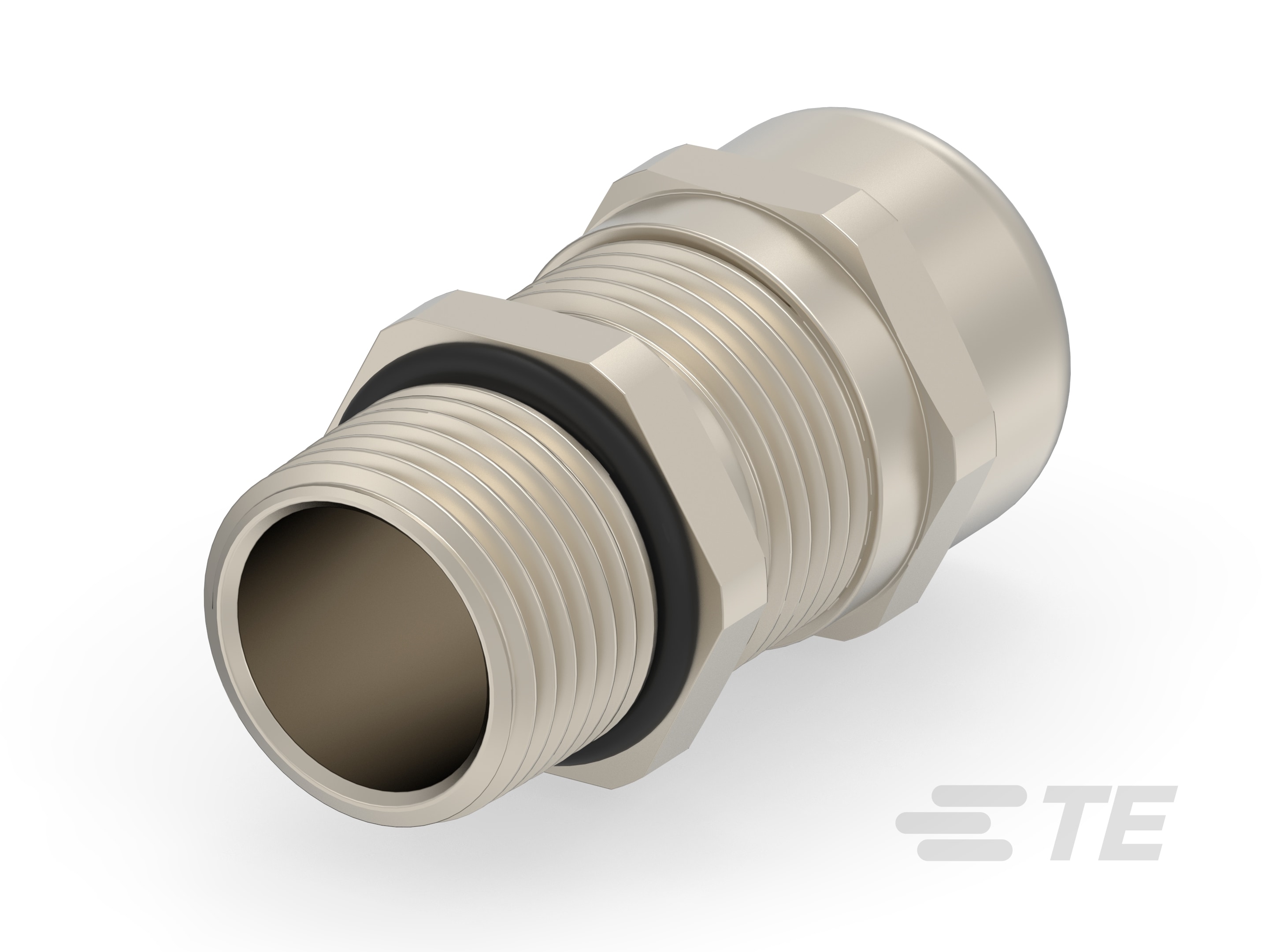 EM-SG-NPT38-MET-D-1SNG602071R0000