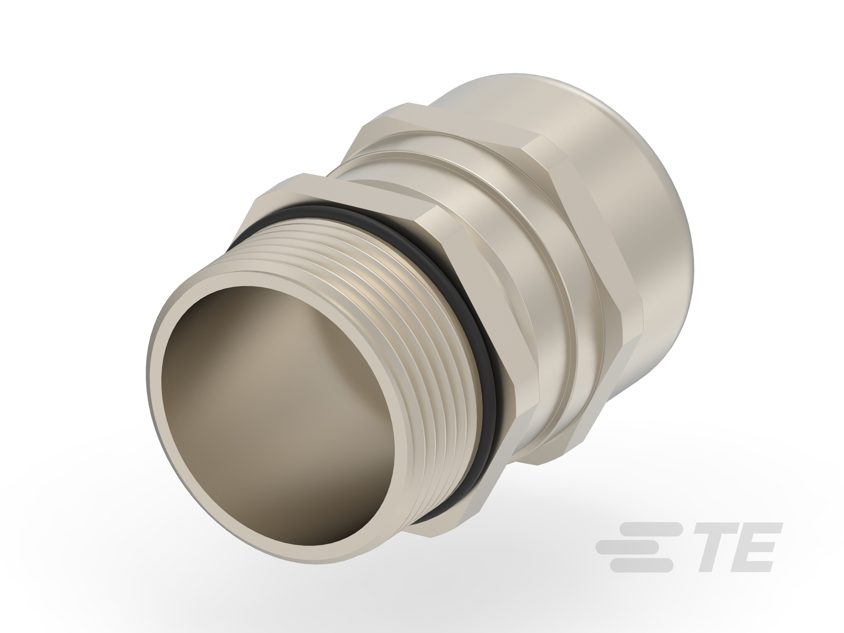 EM-EMC2-PG21-MET-B-1SNG613036R0000