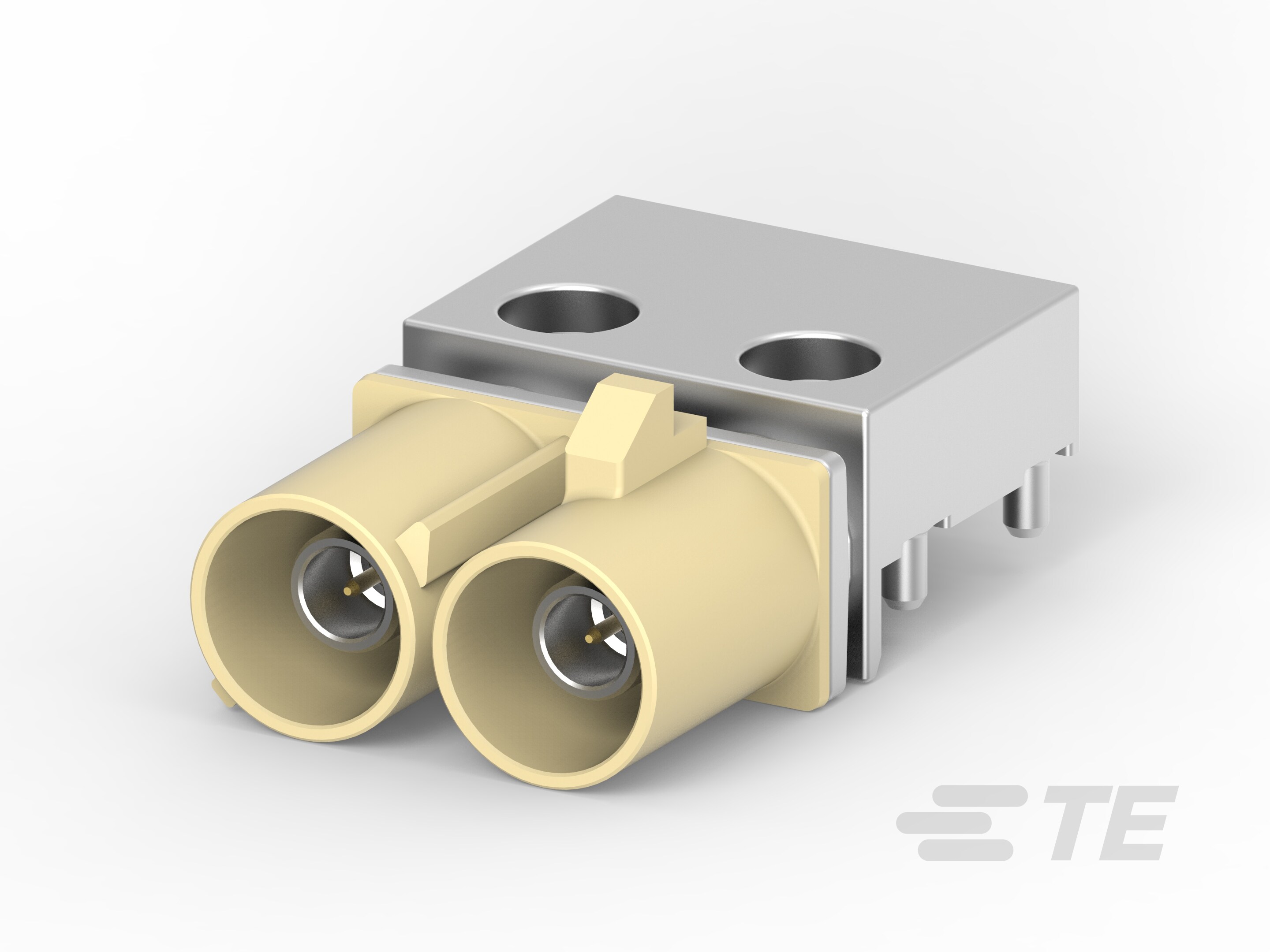 FAKRA, 2 POS, EXT-EDGE, ASS'Y 12 O'CLOCK-2-2287923-9