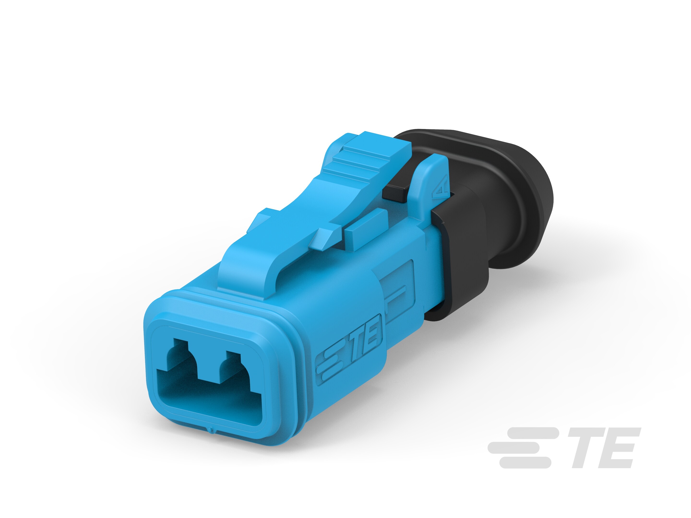 2CCT BLUE PLUG W/SMALL SEAL & HS-2-2600023-2