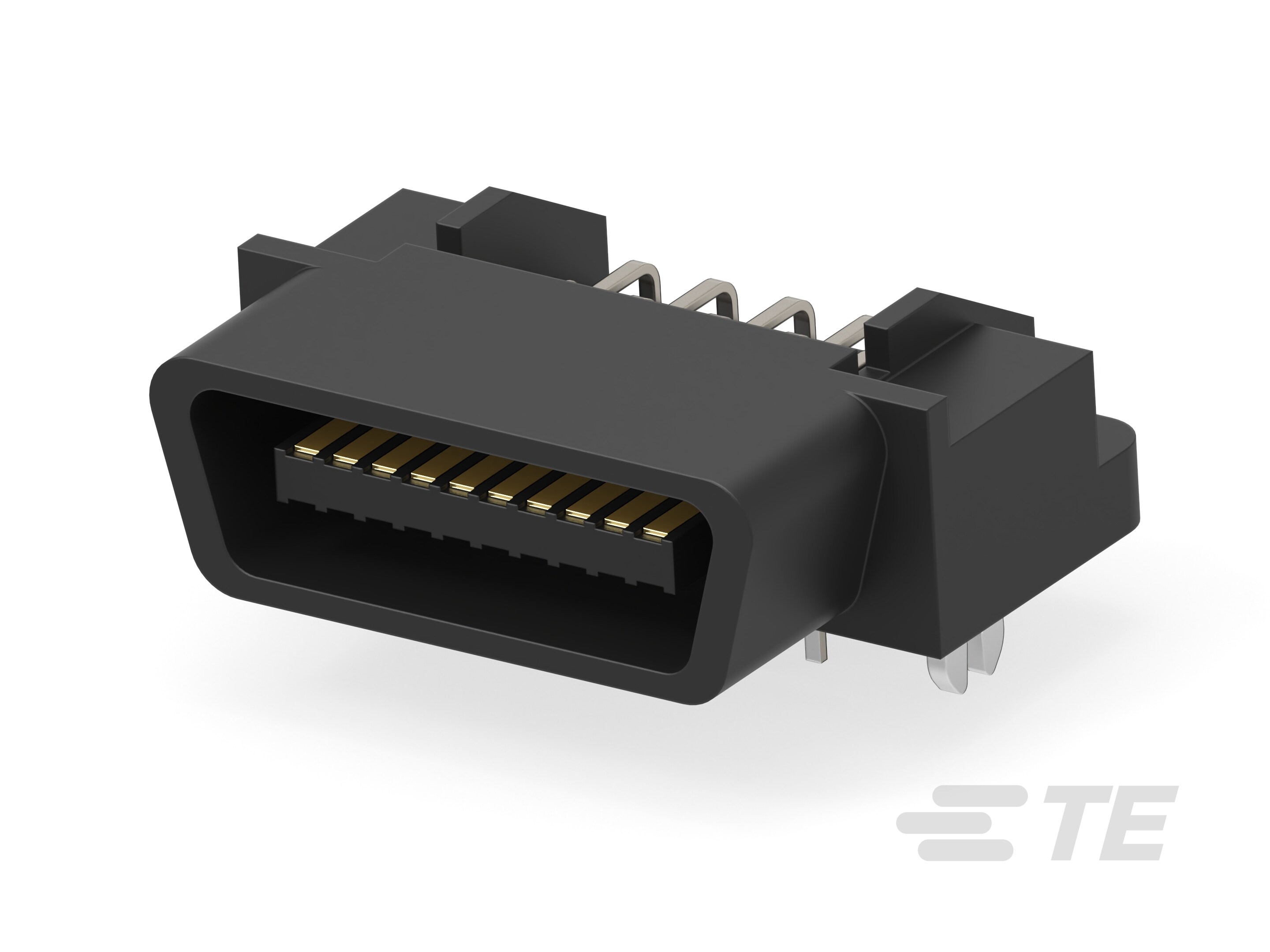 CHAMP 050 B-T-B PLUG H  W/LEG 20P-3-5175472-1