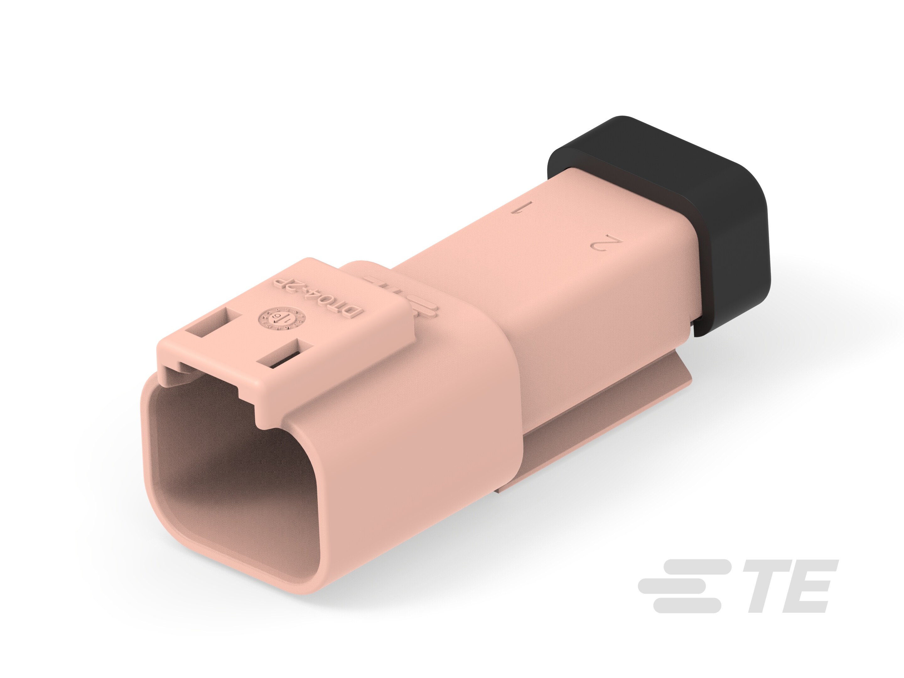 DT04-2P-EE14, RCPT, 2P, BRN, N, CAP-4-2448108-1