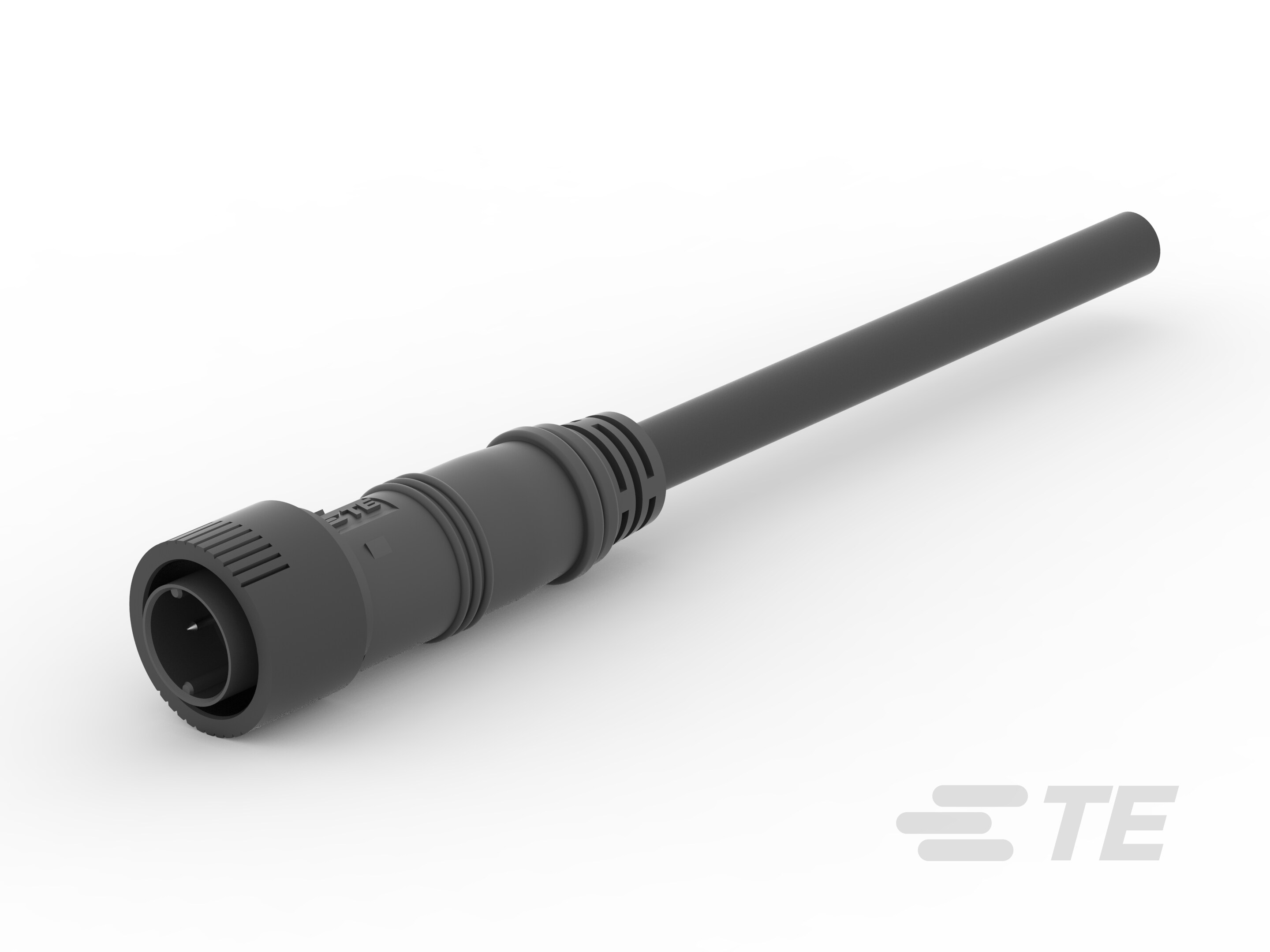 2P MALE CABLEASSEMBLY-9-2834000-1