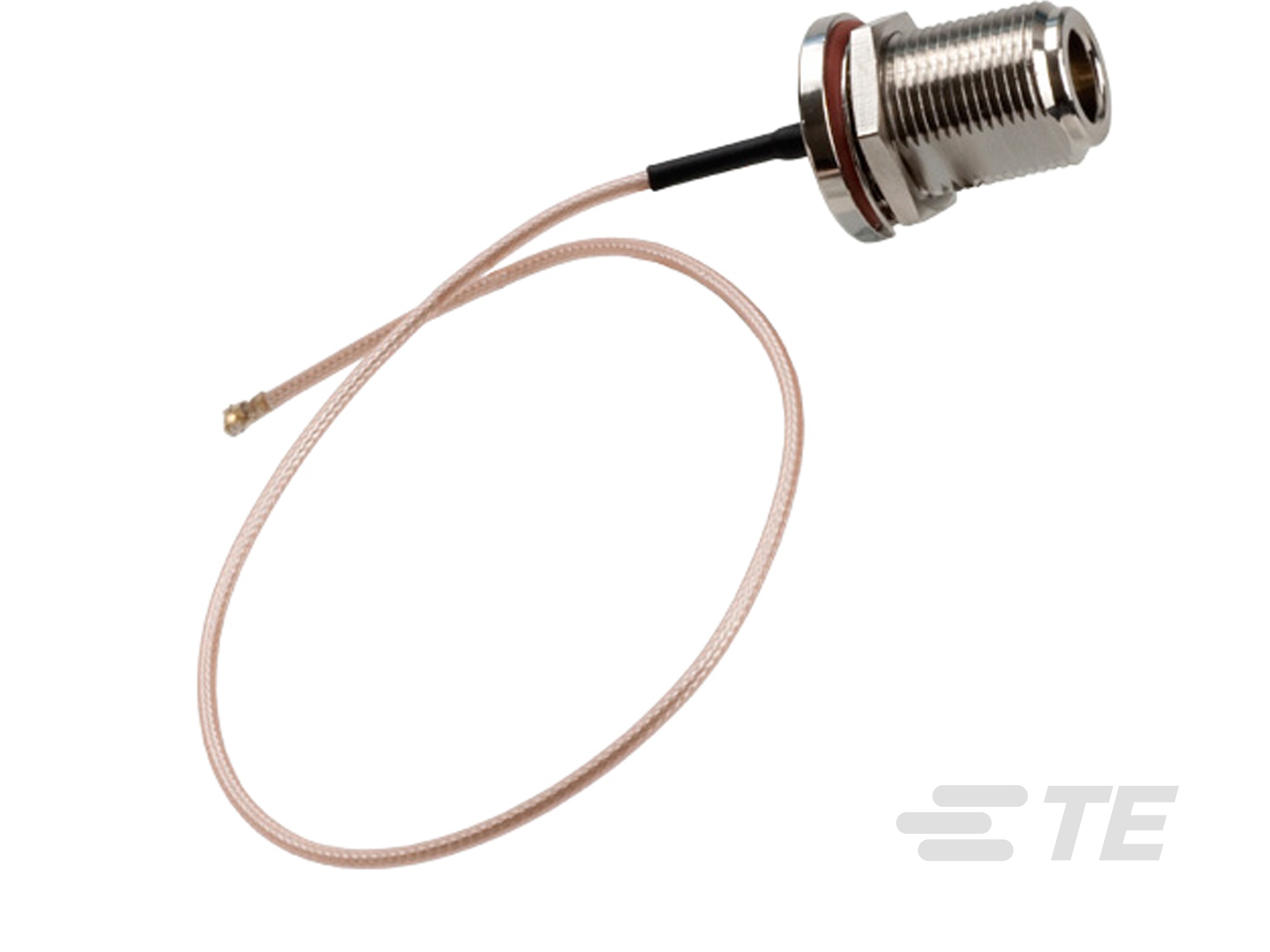 Cassy,Coax,12in,NFB RSMAM,LMR100-CA100-NFB-RSMAM-12