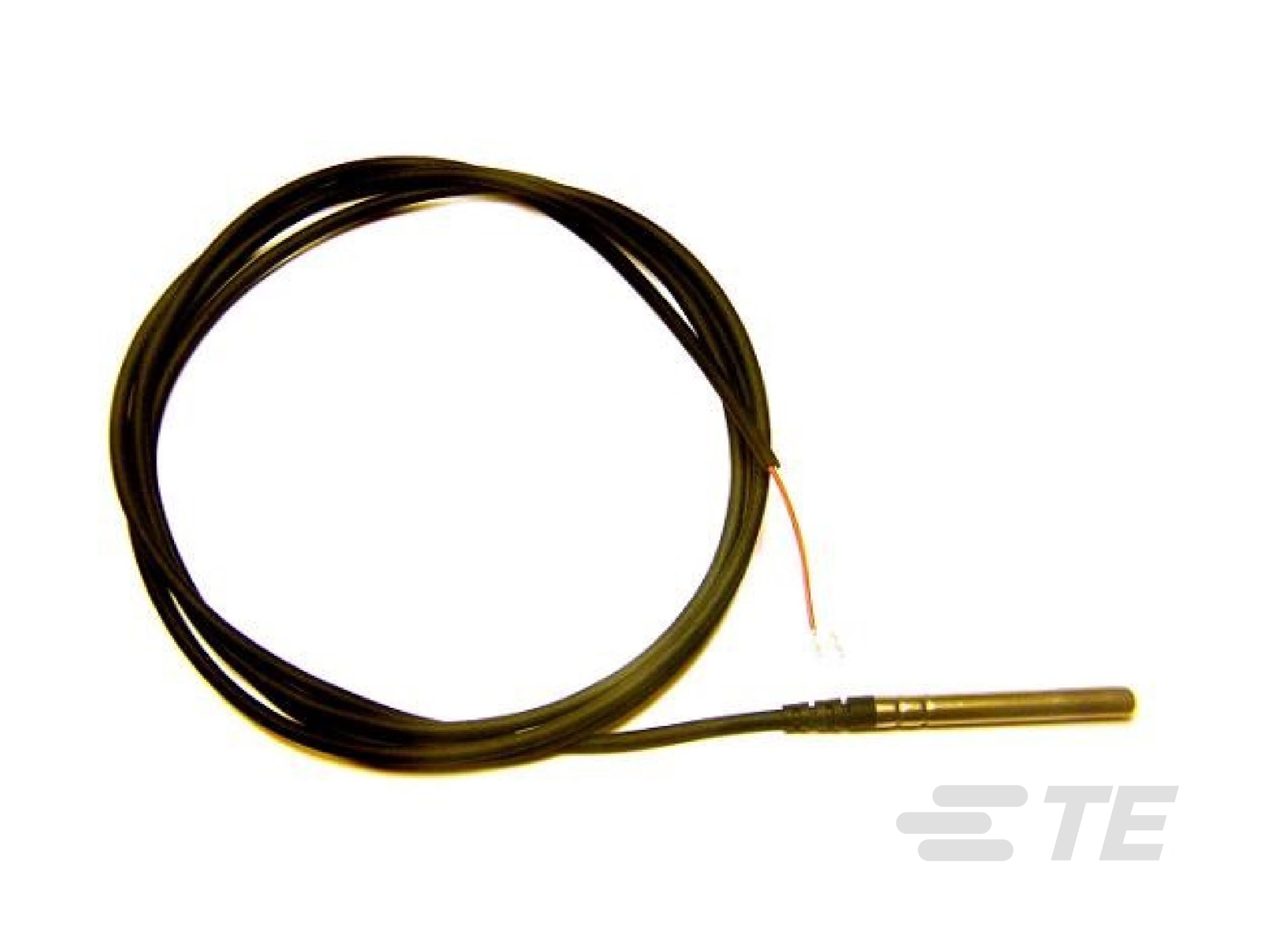 TPE 包覆成型 NTC 温度探头，带 6x50mm 不锈钢外壳-CAT-NTC0057