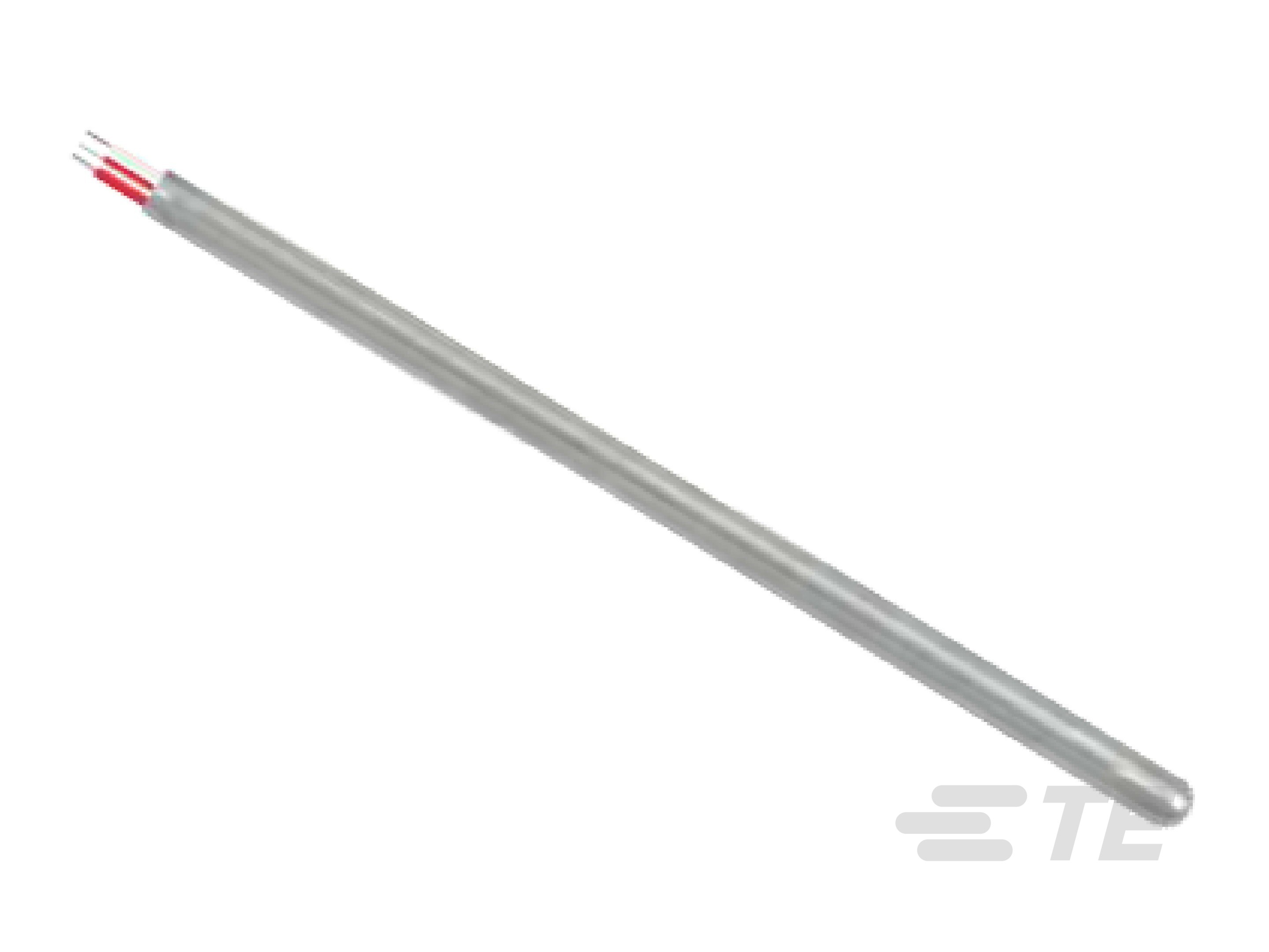带不锈钢外壳的直接浸入式 RTD 探头（可配置产品）-CAT-RTD0022