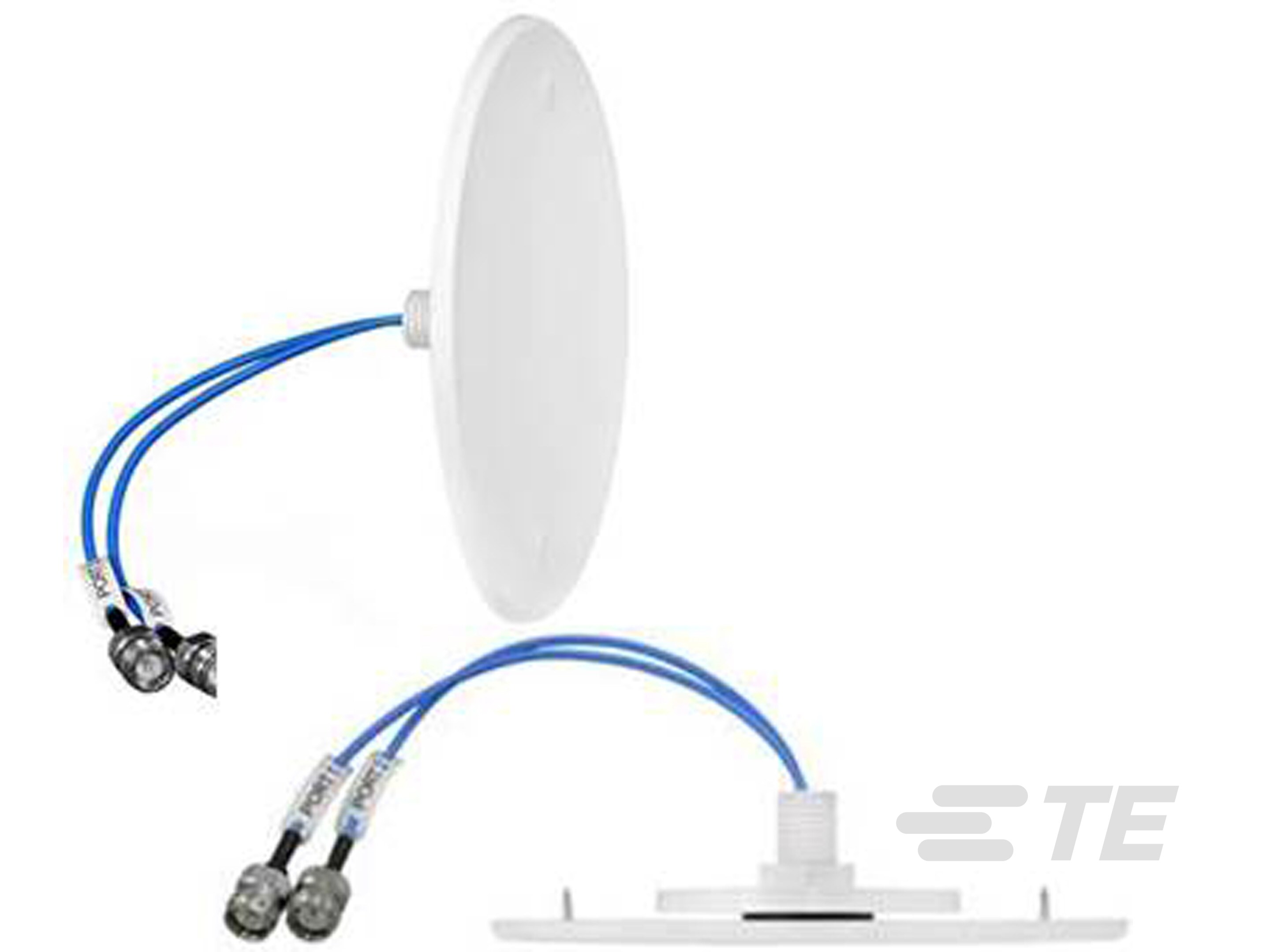 OMNI,DBAND,30cm,D43F OD250MM,BULK PACK,1-CFD69383P-B30D43F