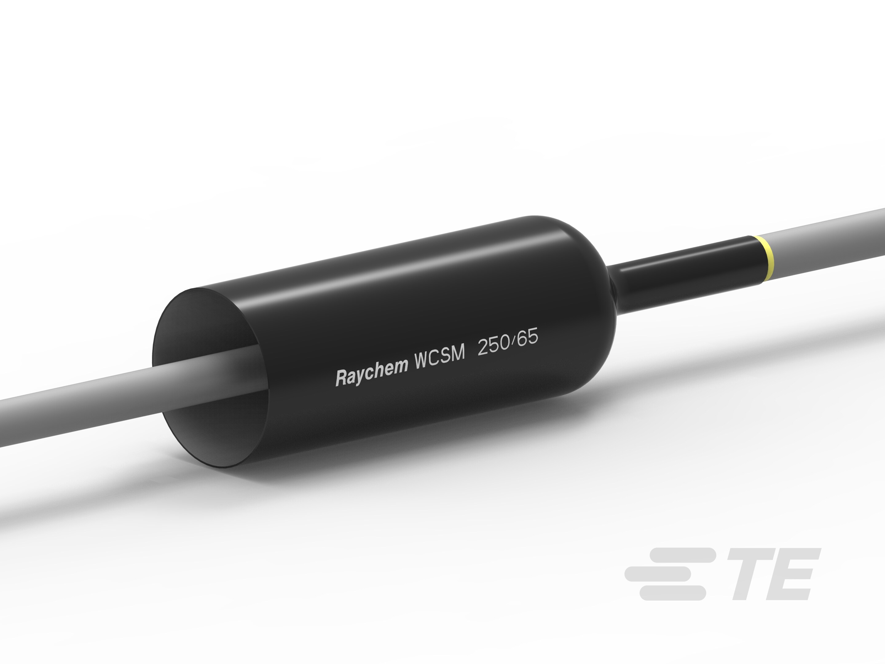 WCSM-250/65-1550/S-(C20)-E09748-000
