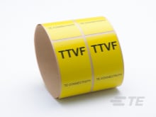 TTVF100WE-100-160892-000