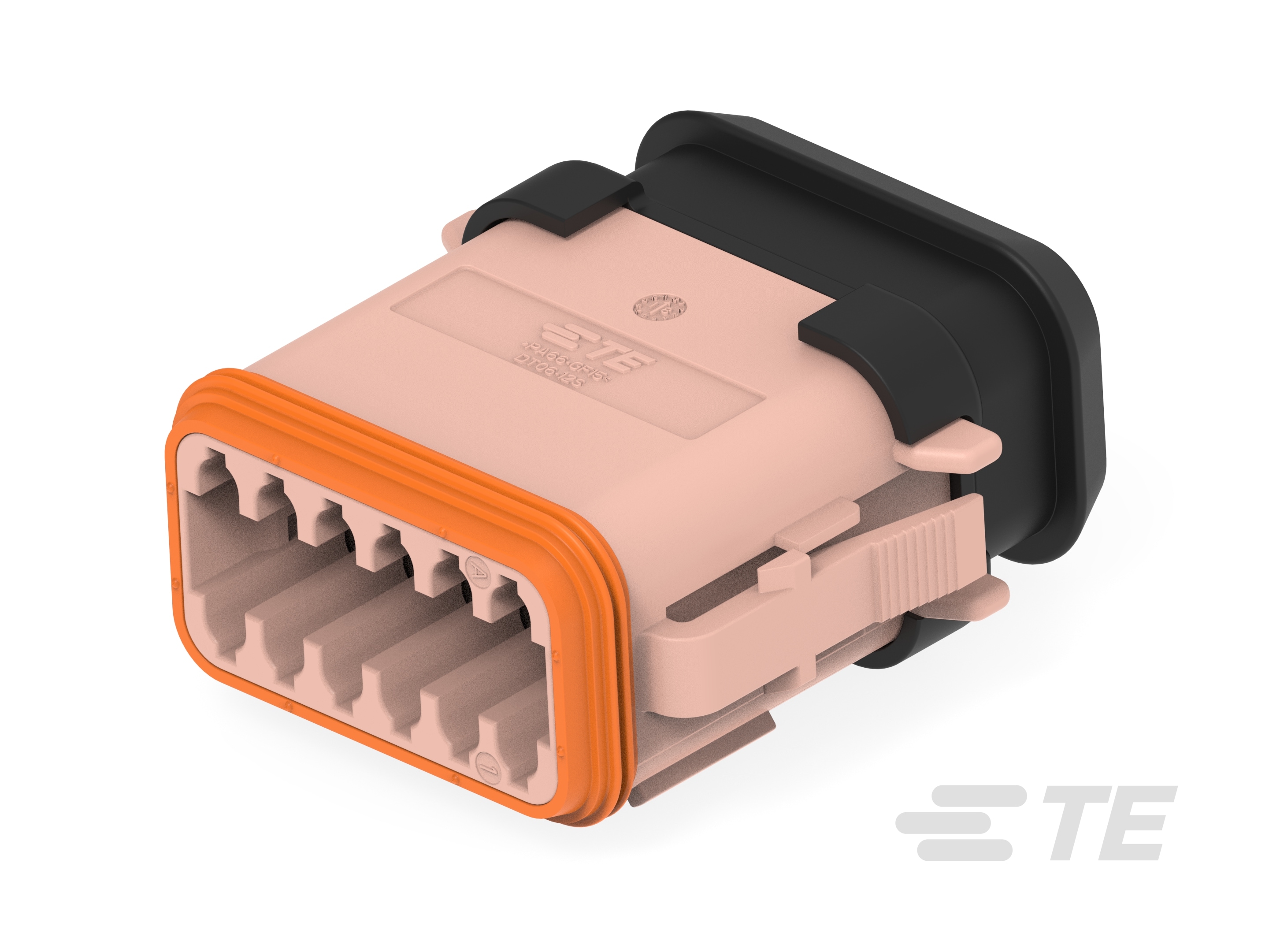 PLG, 12P, BRN, E, XCAP, D-DT06-12SD-CE04