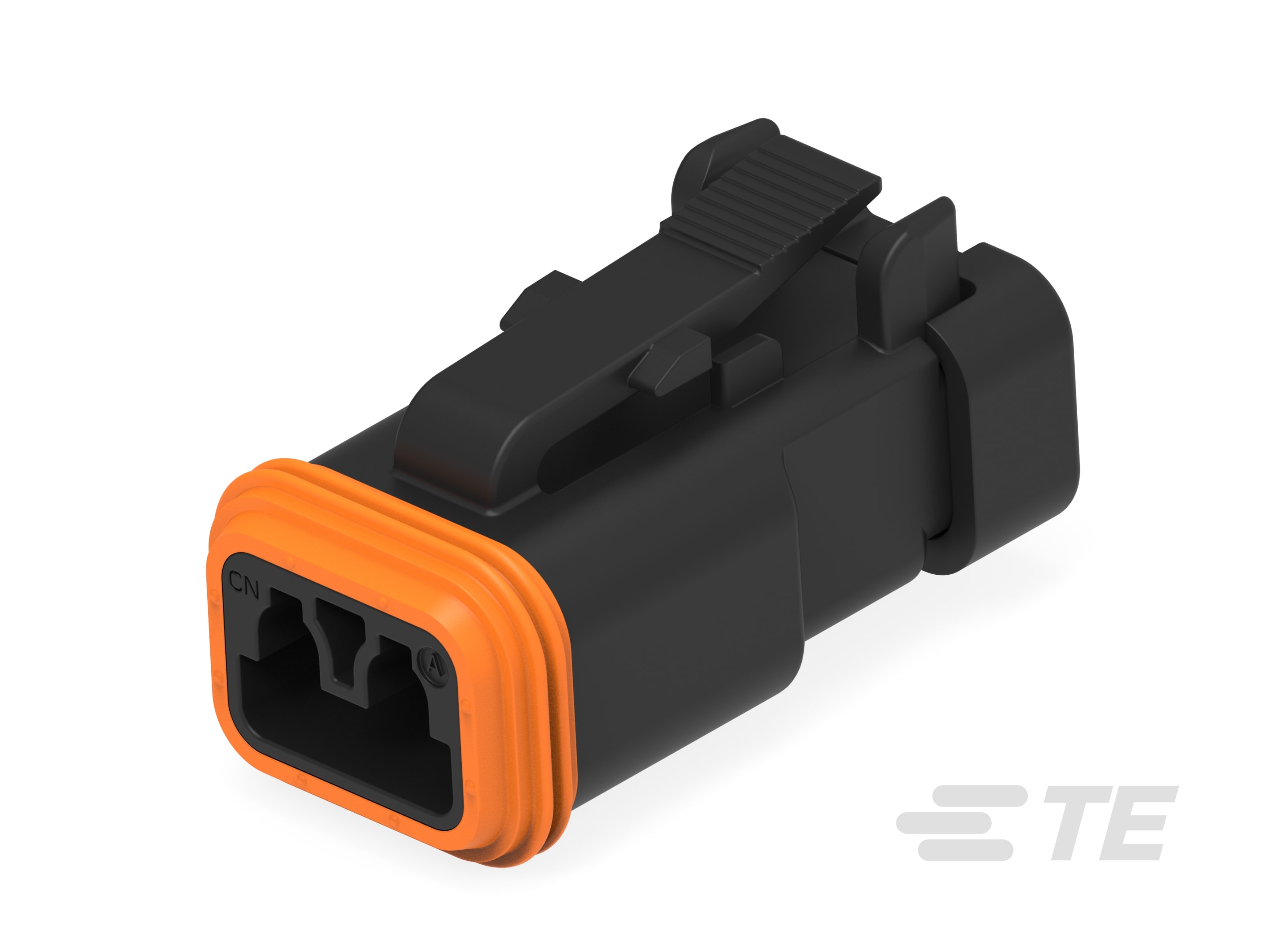 PLG, 2P, BLK, N, CAP-DT06-2S-E005