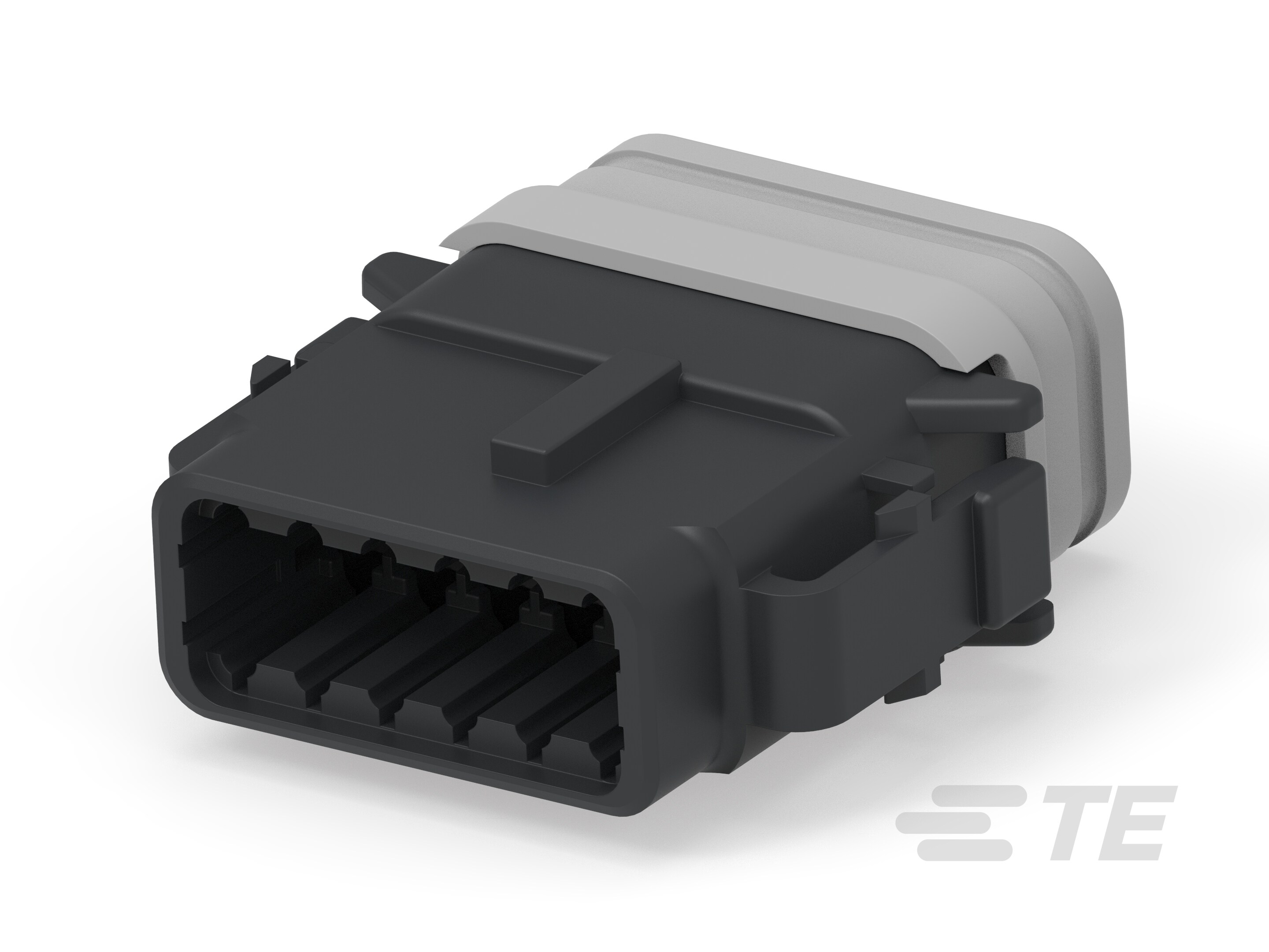 PLG, 12P, BLK, N, XCAP, B-DTM06-12SB-E007