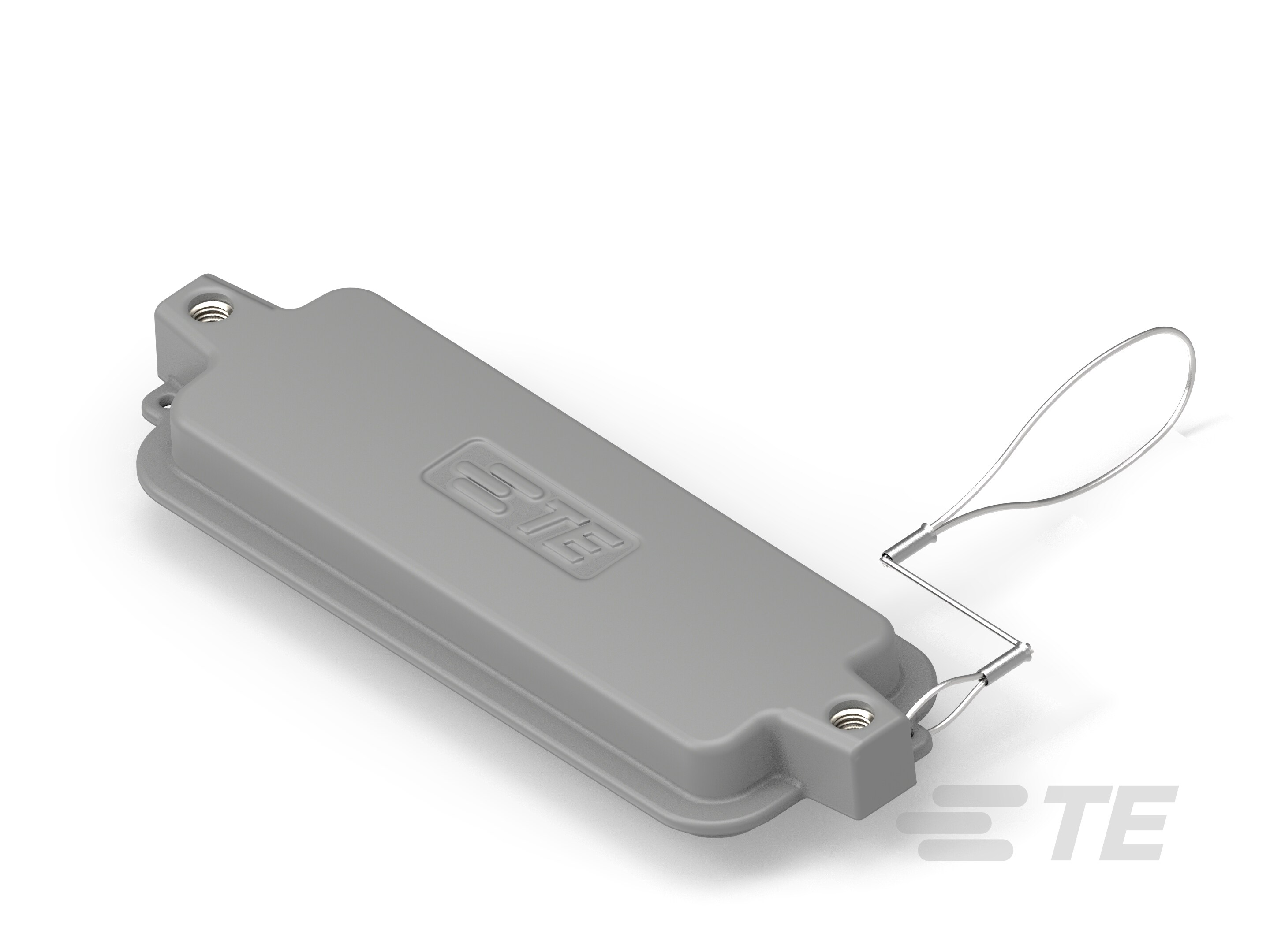 H24BK-KDTP-SS-T1012241100-001