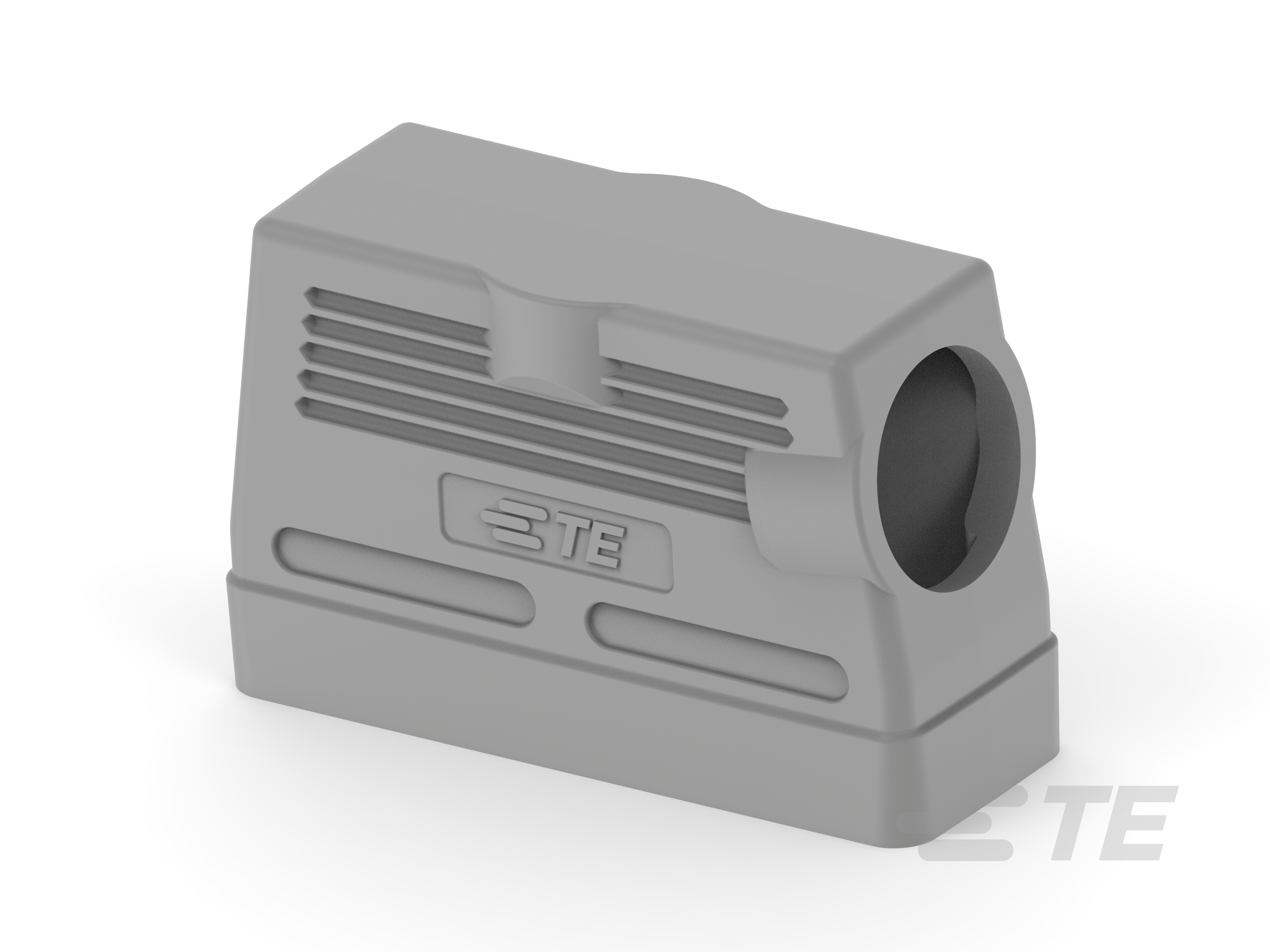 H24B-TSH-PG29-T1400240129-000