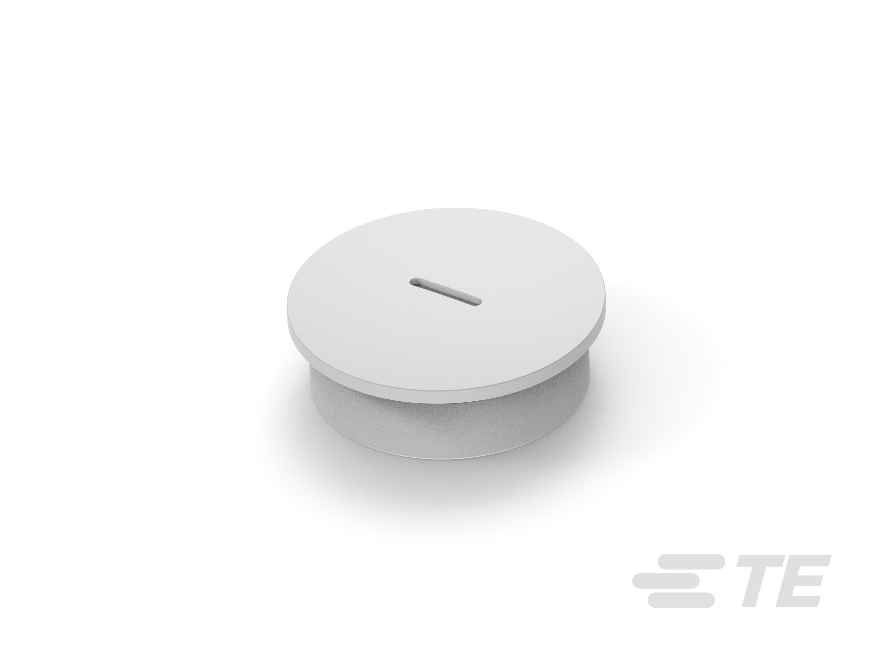 BLIND-50-PM-T3166500111-000