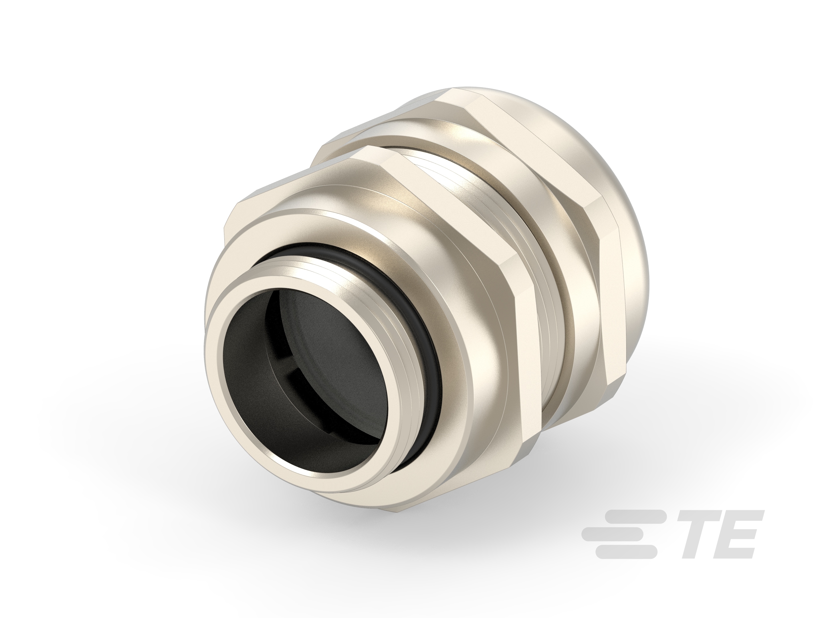 DLX-MS-PG21-PG29-T3619212901-000