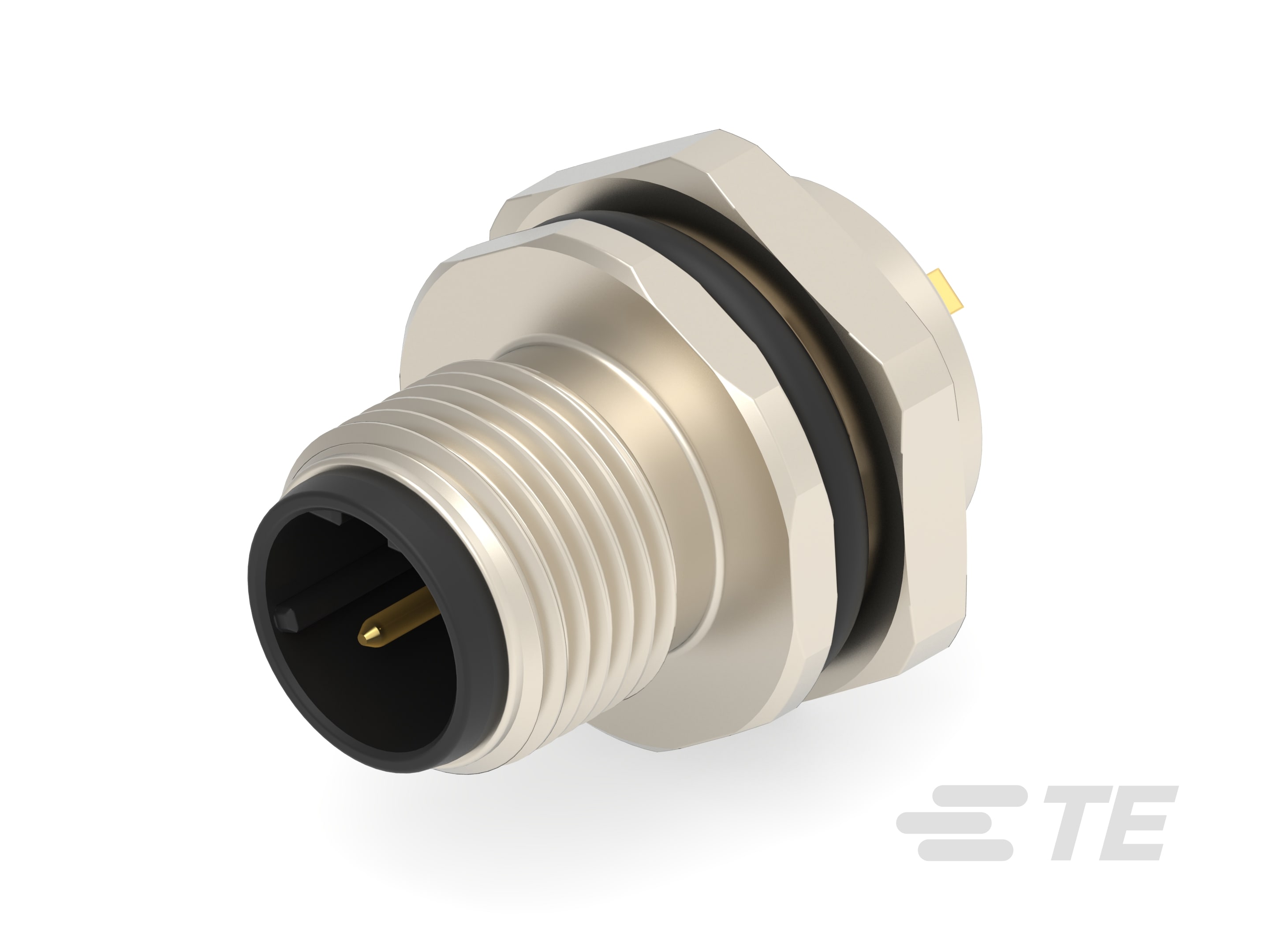 M12,FRONT MOUNT,MALE,D,2P,SOLDER WIRE-T4132512021-000