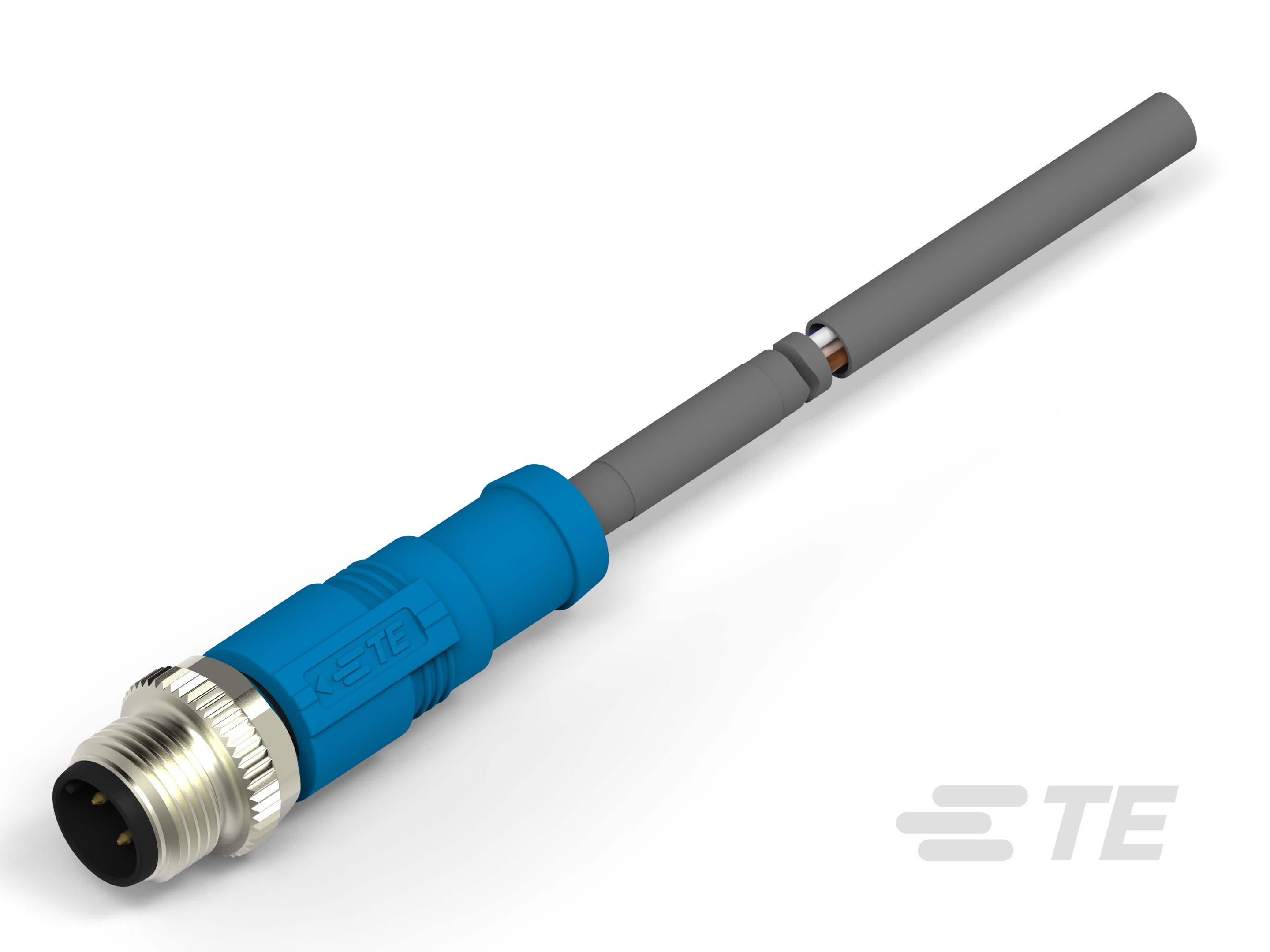 RPC-M12D-MS-4CON-PUR-7.0-T4151120504-006