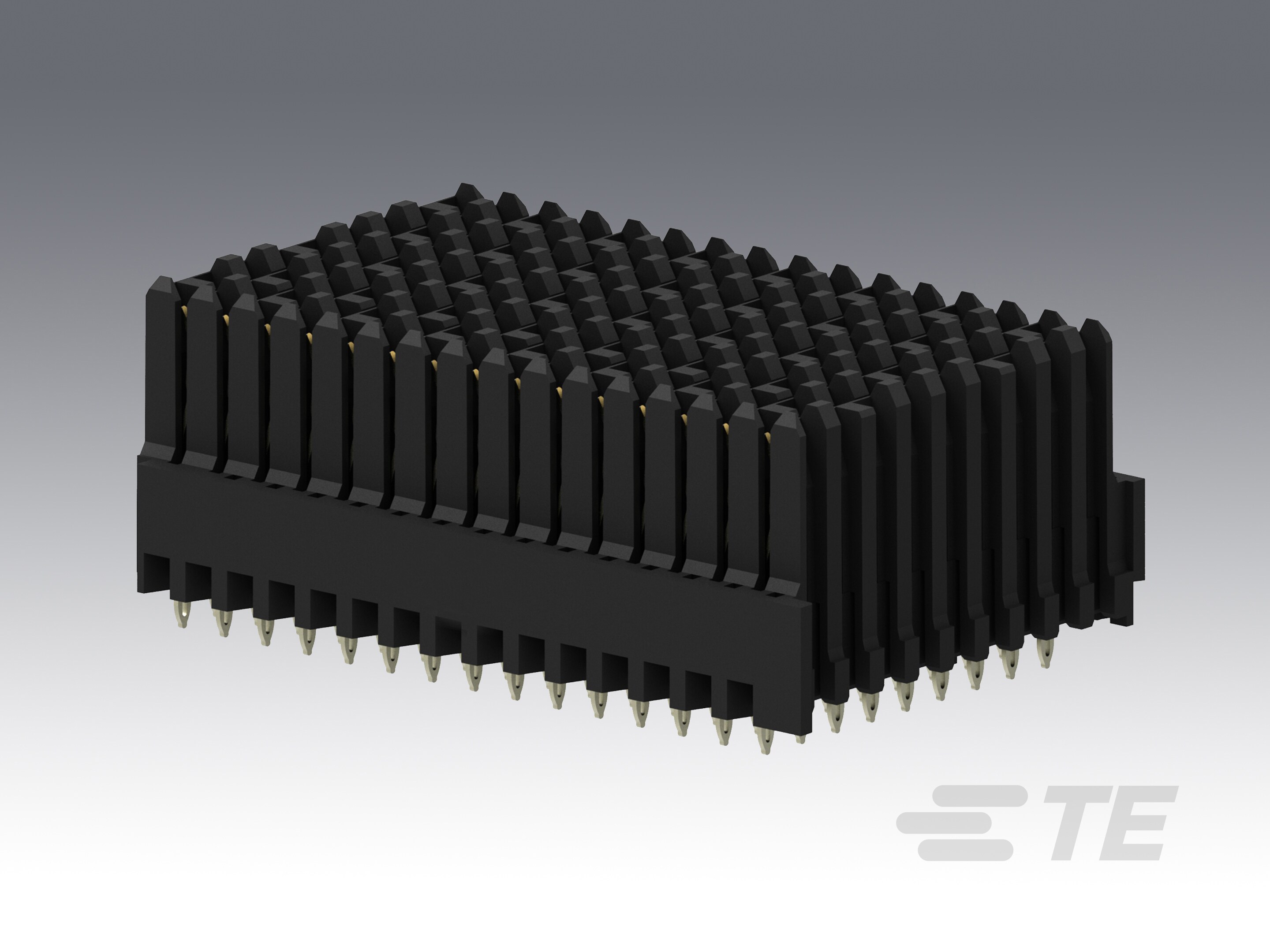 BP, Center, RTM, MULTIGIG RT 2R-2102768-1
