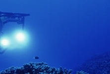 rov