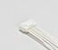 conectores-economy-power