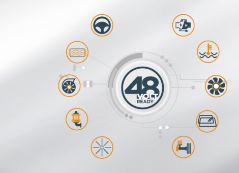 Profilzeichen aus Gras mit 48 V-Logo