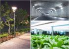 Hoja informativa sobre iluminación LED para exteriores