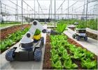 Hoja informativa sobre agricultura inteligente