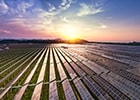 太陽光エネルギー