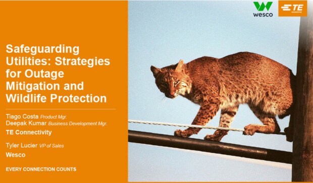 webinaire