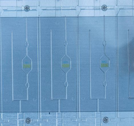 Cómo los ensayos impactan el diseño de microfluidos: consideraciones sobre los reactivos