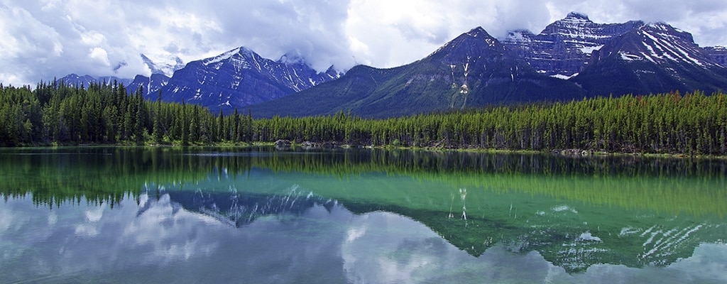 WEFTEC, weftec, weftec 2017, 水位传感器, 水位, kpsi, trublue